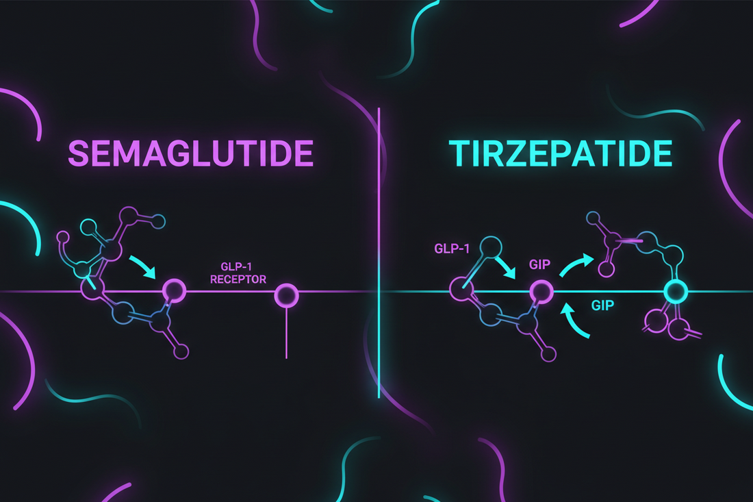 Illustration comparing semaglutide and tirzepatide receptor pathways — semaglutide targets GLP-1 receptors while tirzepatide targets both GLP-1 and GIP receptors.